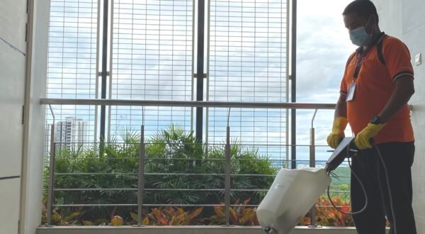 Floor Restoration Floor Restoration